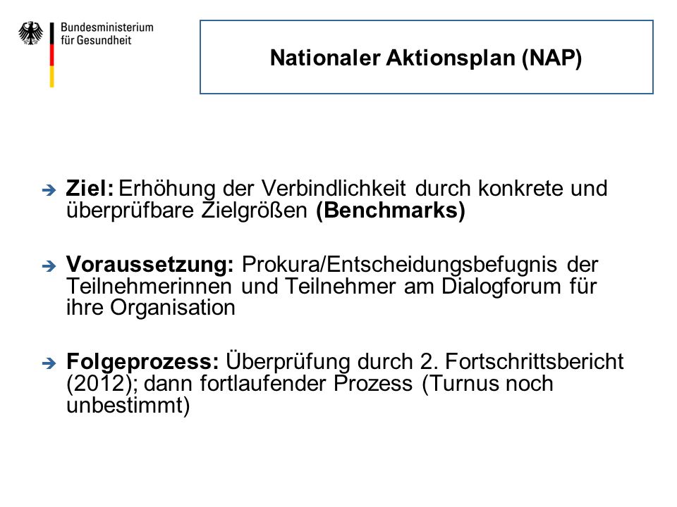 Nationaler Aktionsplan (NAP)