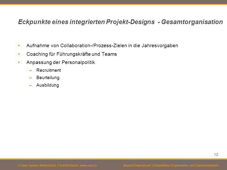 Eckpunkte eines integrierten Projekt-Designs - Gesamtorganisation