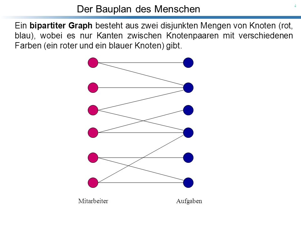 Ein bipartiter Graph besteht aus zwei disjunkten Mengen von Knoten (rot, blau), wobei es nur Kanten zwischen Knotenpaaren mit verschiedenen Farben (ein roter und ein blauer Knoten) gibt.