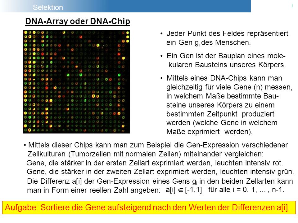 DNA-Array oder DNA-Chip