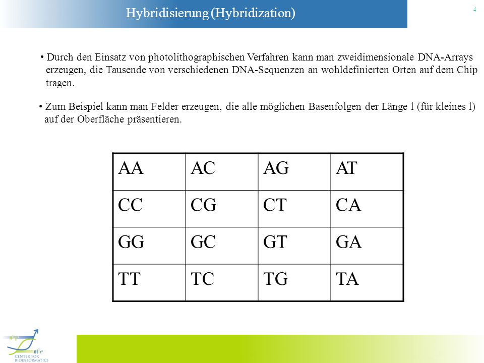 AA AC AG AT CC CG CT CA GG GC GT GA TT TC TG TA