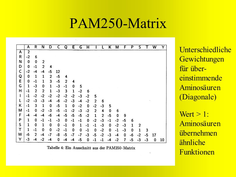 PAM250-Matrix Unterschiedliche Gewichtungen für über-einstimmende Aminosäuren (Diagonale) Wert > 1: