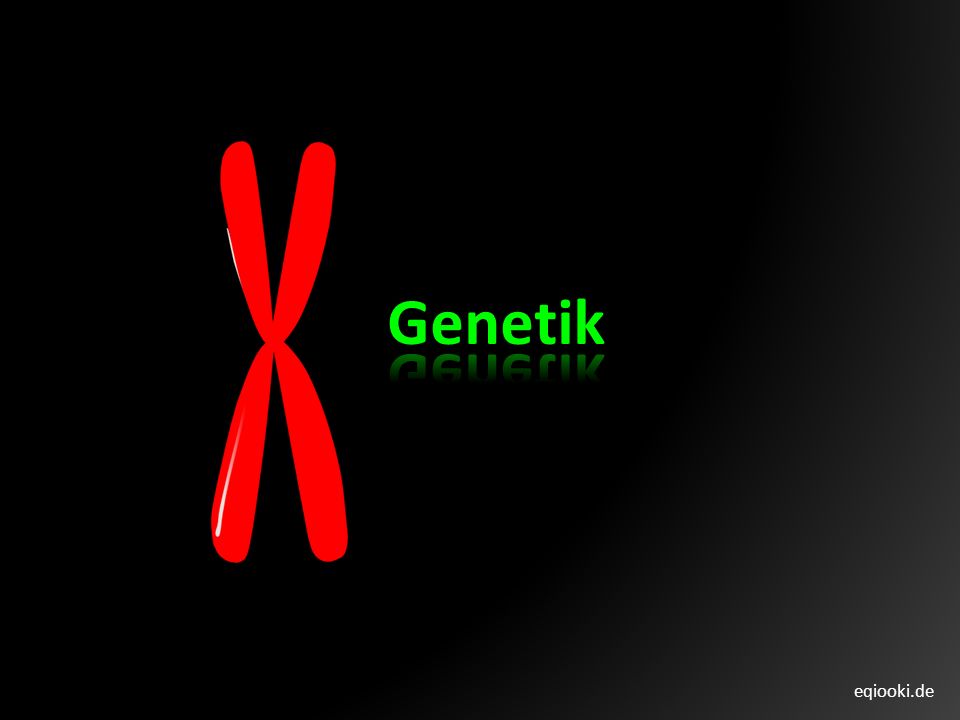 Genetik eqiooki.de