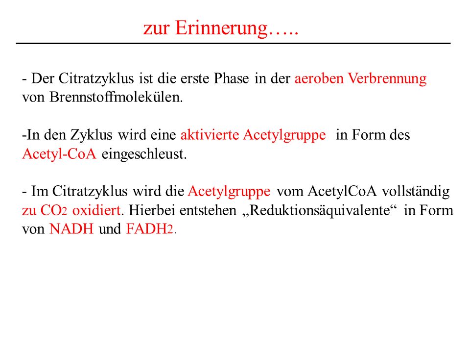 zur Erinnerung….. - Der Citratzyklus ist die erste Phase in der aeroben Verbrennung. von Brennstoffmolekülen.