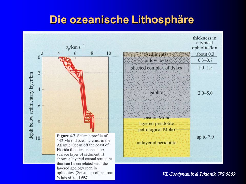 Die ozeanische Lithosphäre