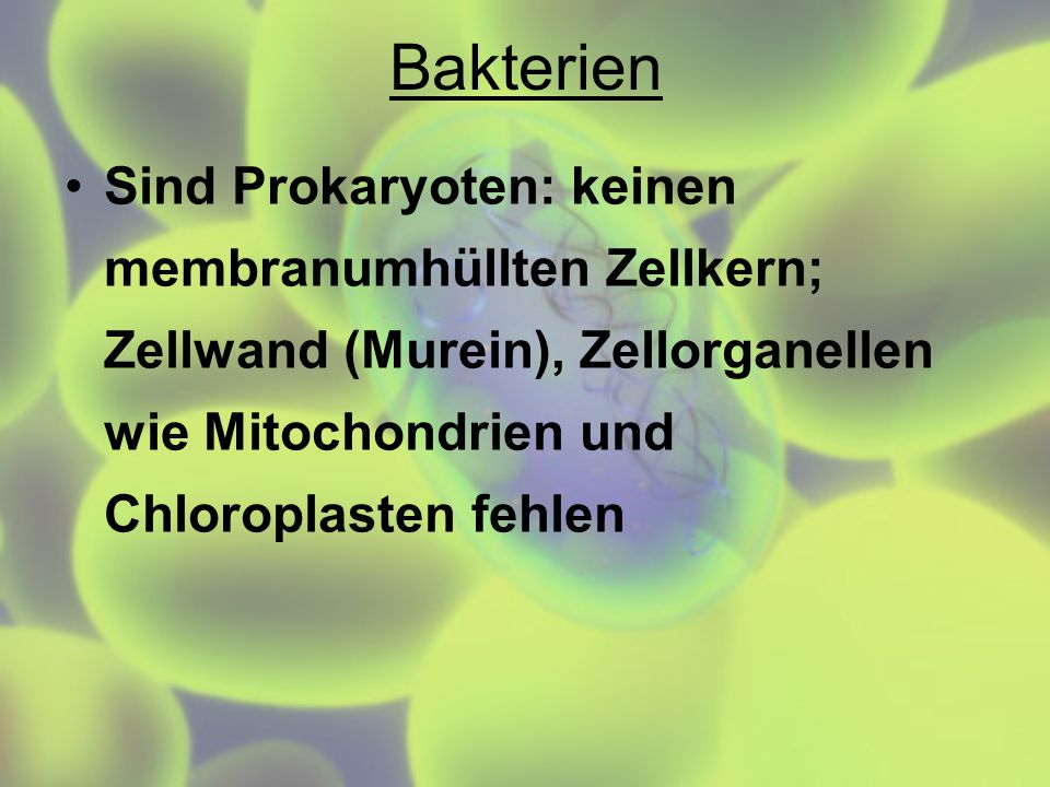 Bakterien Sind Prokaryoten: keinen membranumhüllten Zellkern; Zellwand (Murein), Zellorganellen wie Mitochondrien und Chloroplasten fehlen.