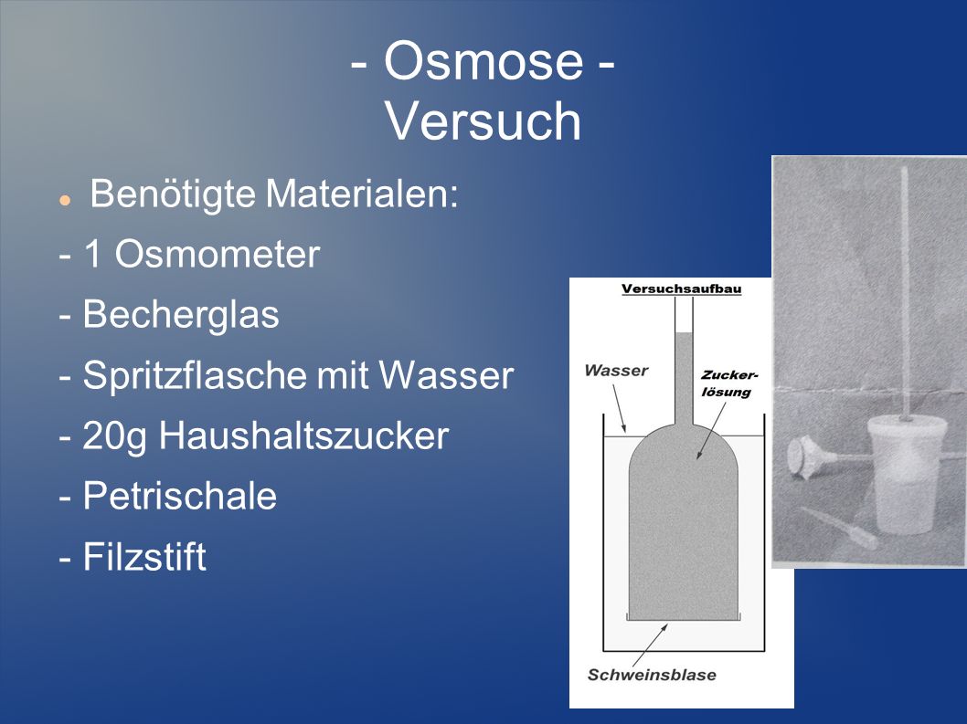 - Osmose - Versuch Benötigte Materialen: - 1 Osmometer - Becherglas