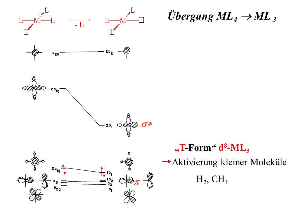 Übergang ML4 ® ML 3 s* „T-Form d8-ML3 Aktivierung kleiner Moleküle