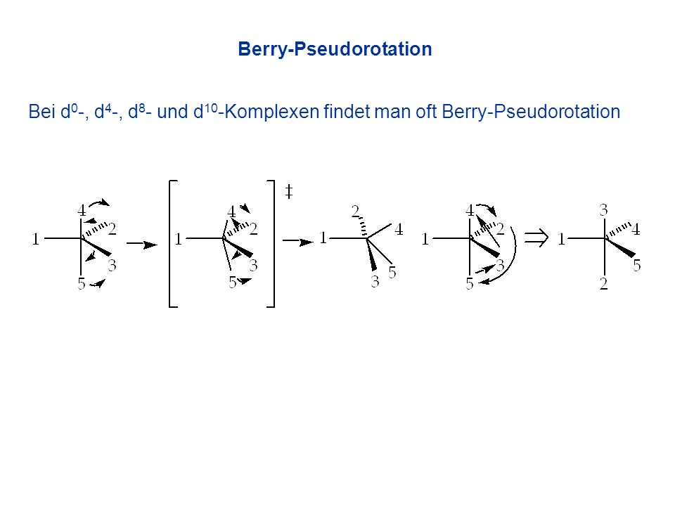 Berry-Pseudorotation