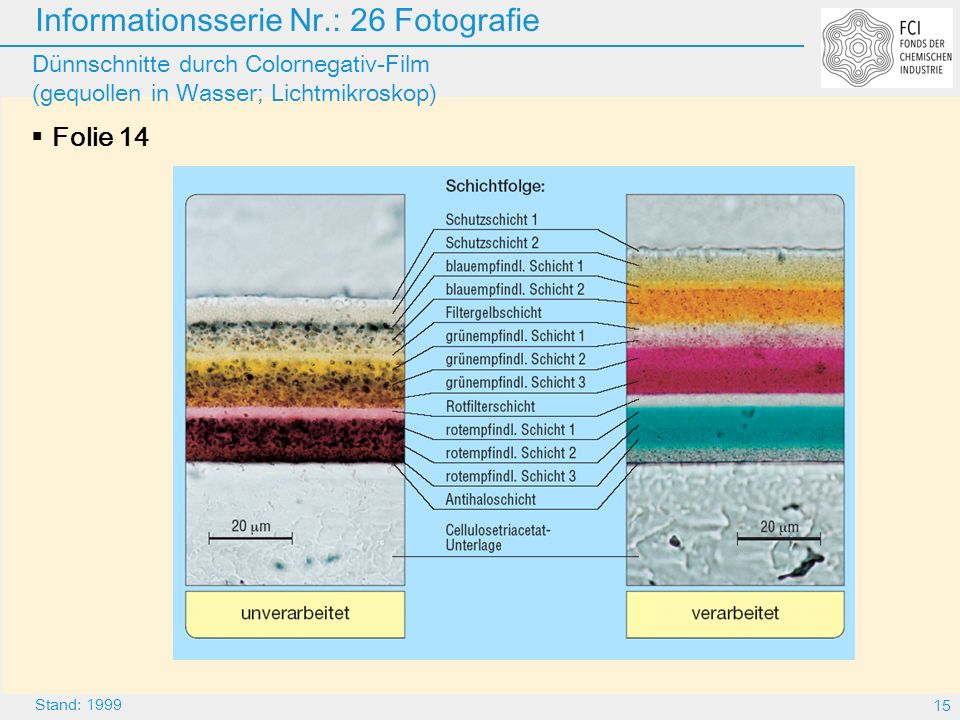 Dünnschnitte durch Colornegativ-Film (gequollen in Wasser; Lichtmikroskop)