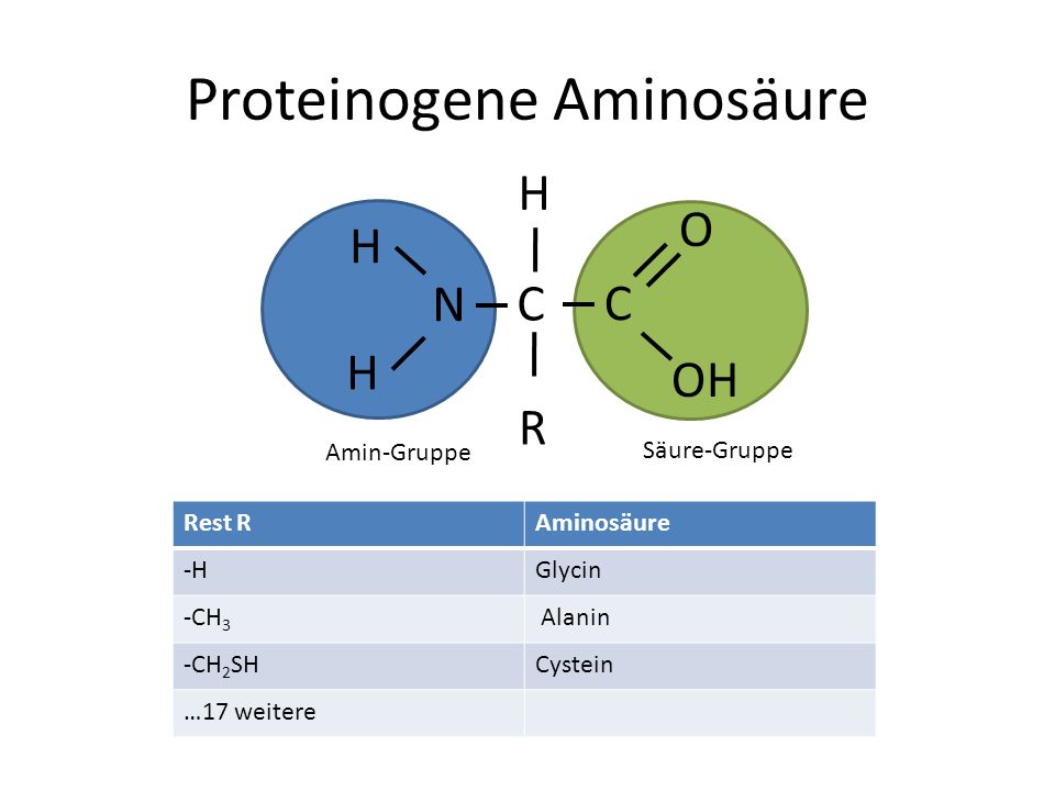 Proteinogene Aminosäure