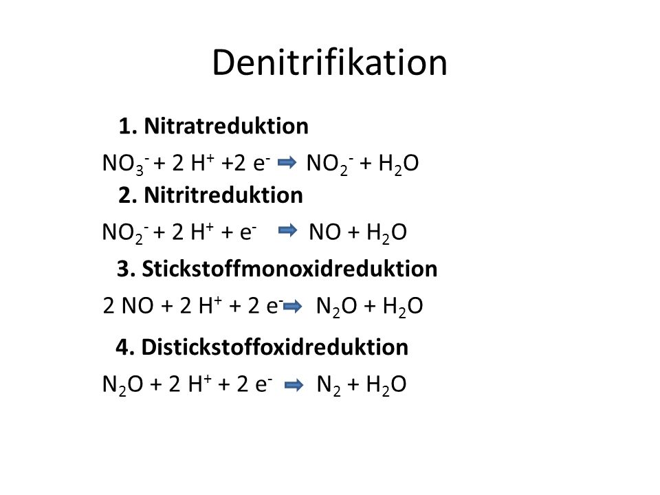 Denitrifikation 1. Nitratreduktion NO H+ +2 e- NO2- + H2O