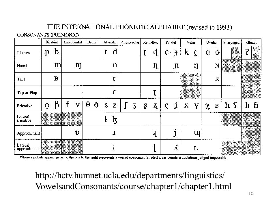 Oberste Zeile in der Tabelle listet die Artikulationsstellen auf, WO in den Sprachen der Welt Laute gebildet werden.