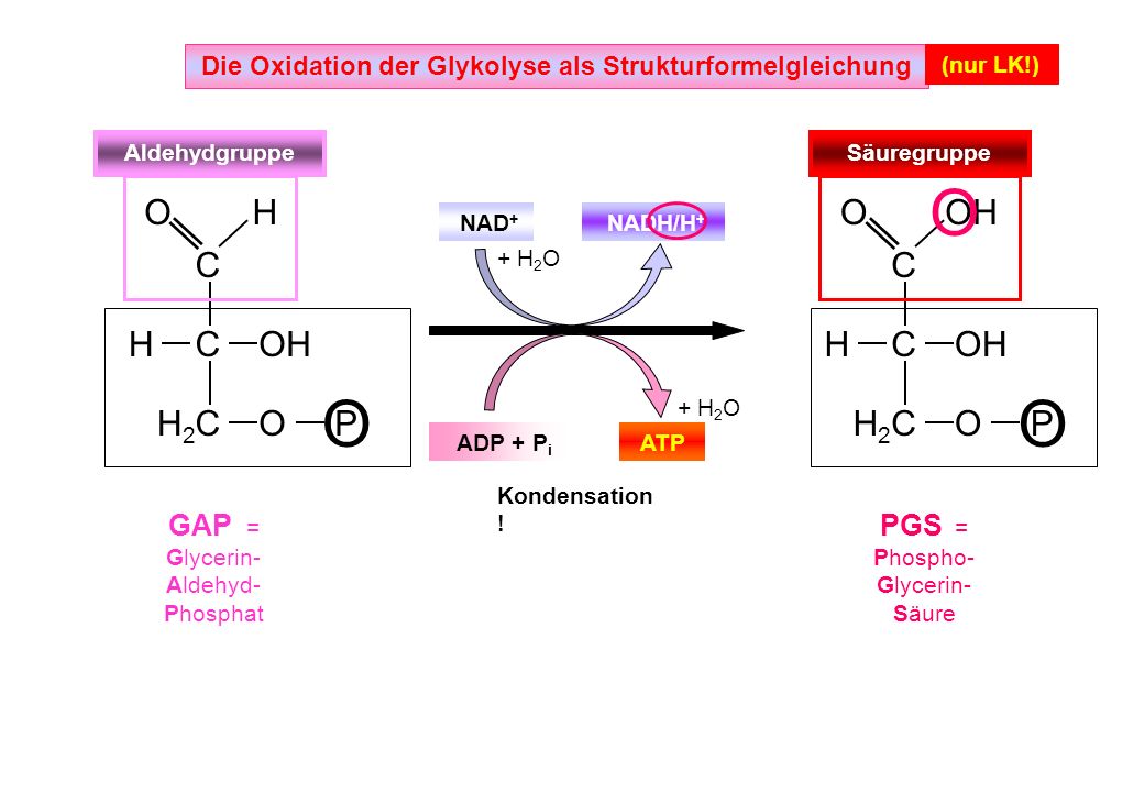 Die Oxidation der Glykolyse als Strukturformelgleichung