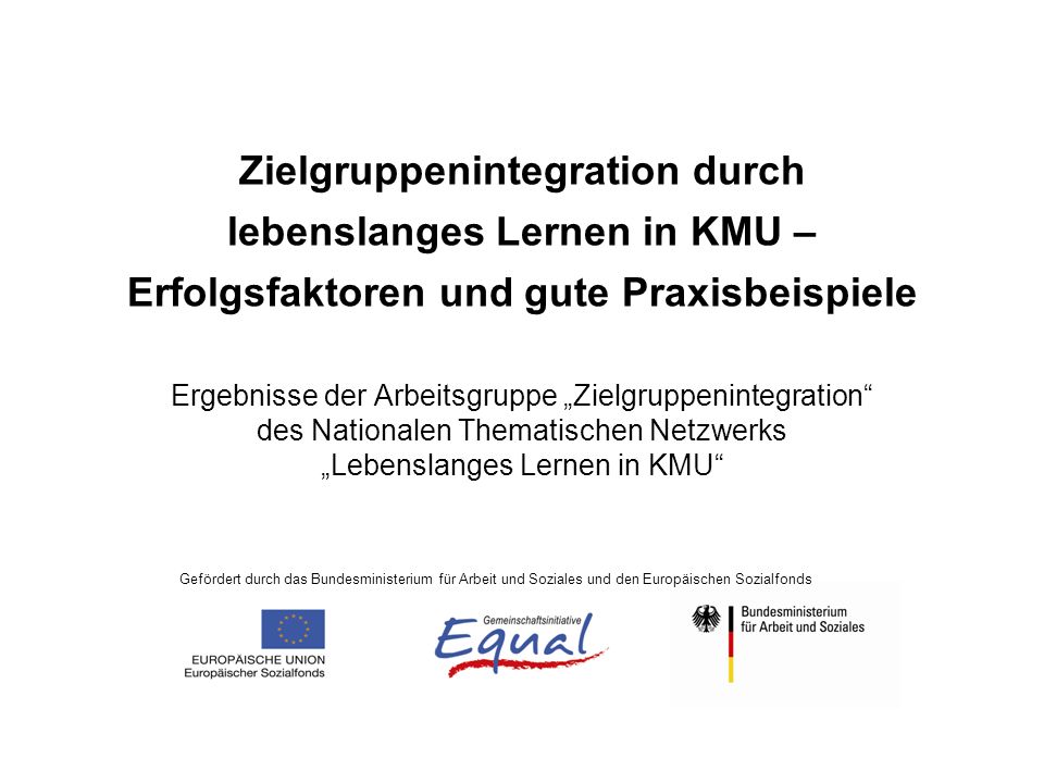 Zielgruppenintegration durch lebenslanges Lernen in KMU – Erfolgsfaktoren und gute Praxisbeispiele