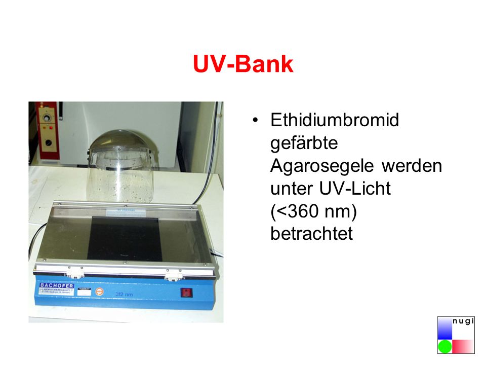 UV-Bank Ethidiumbromid gefärbte Agarosegele werden unter UV-Licht (<360 nm) betrachtet.
