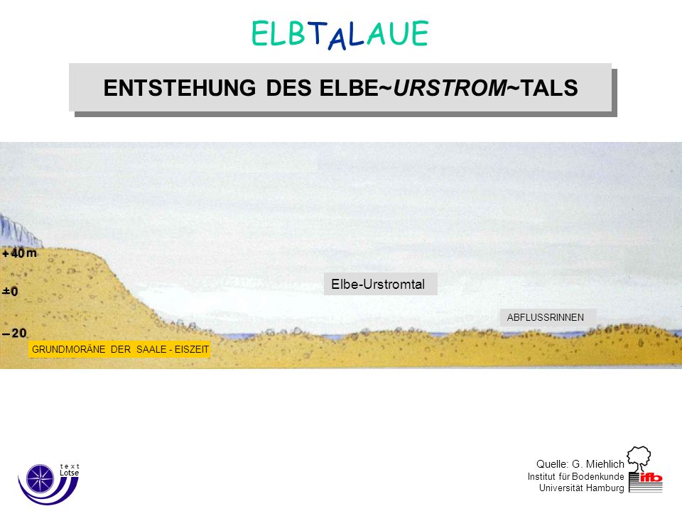 ENTSTEHUNG DES ELBE~URSTROM~TALS - ppt video online herunterladen