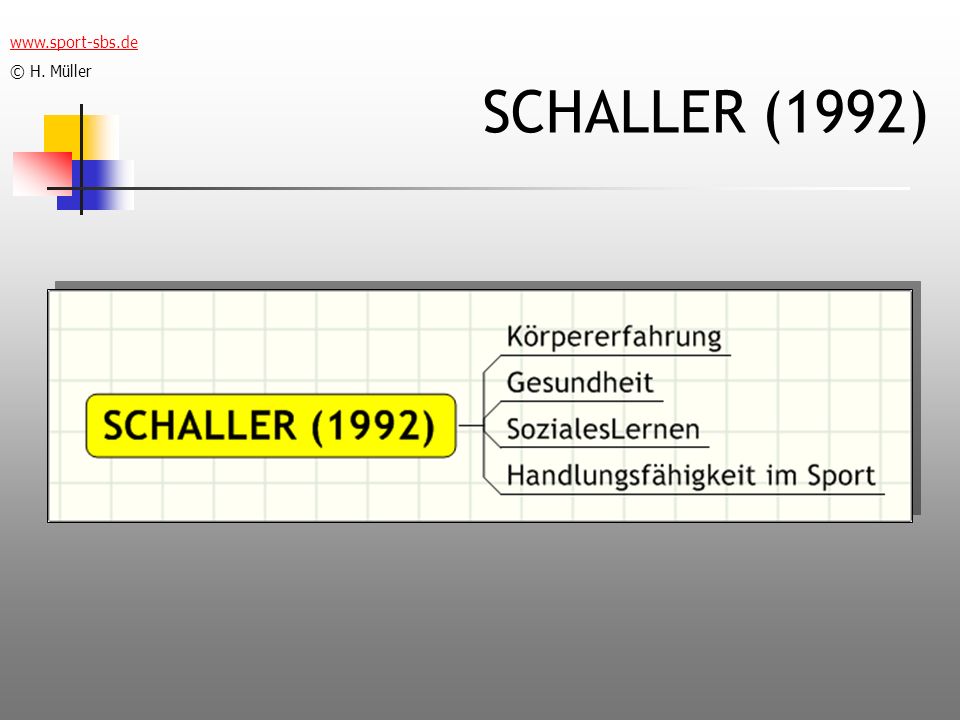 © H. Müller SCHALLER (1992)