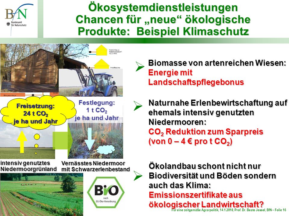 Ökosystemdienstleistungen Chancen für „neue ökologische Produkte: Beispiel Klimaschutz