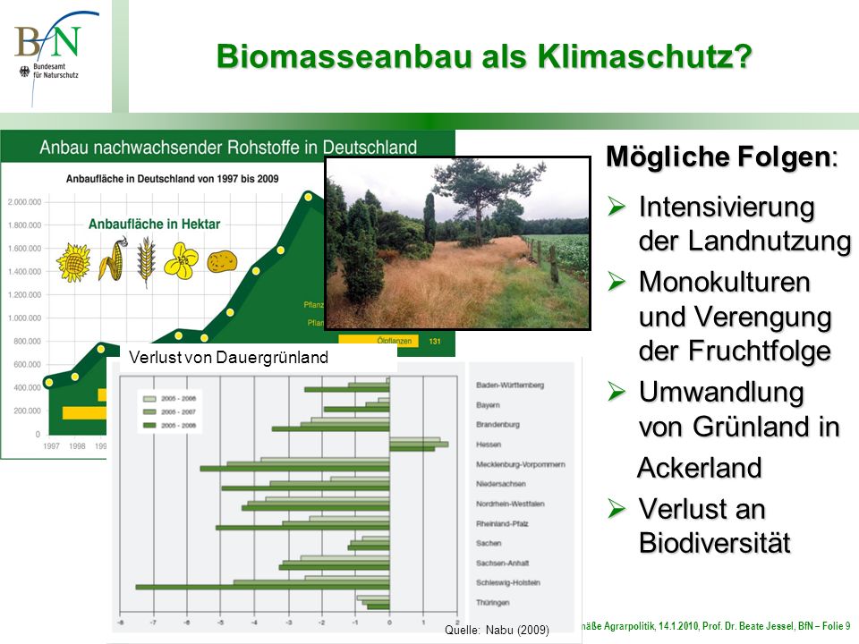Biomasseanbau als Klimaschutz