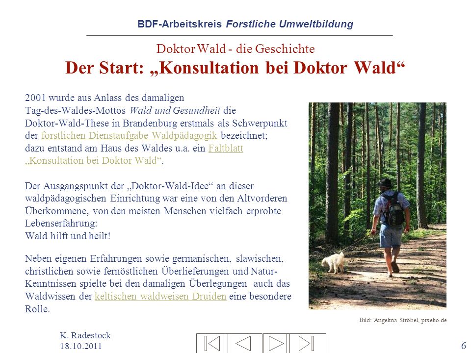 Doktor Wald - die Geschichte Der Start: „Konsultation bei Doktor Wald