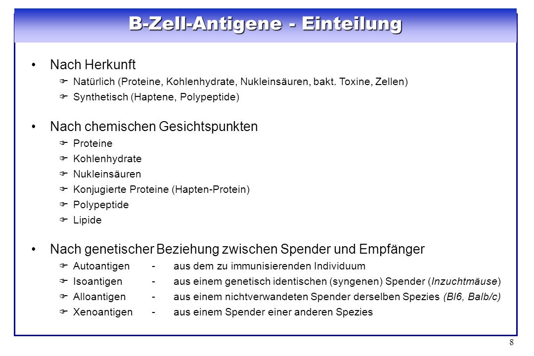 B-Zell-Antigene - Einteilung