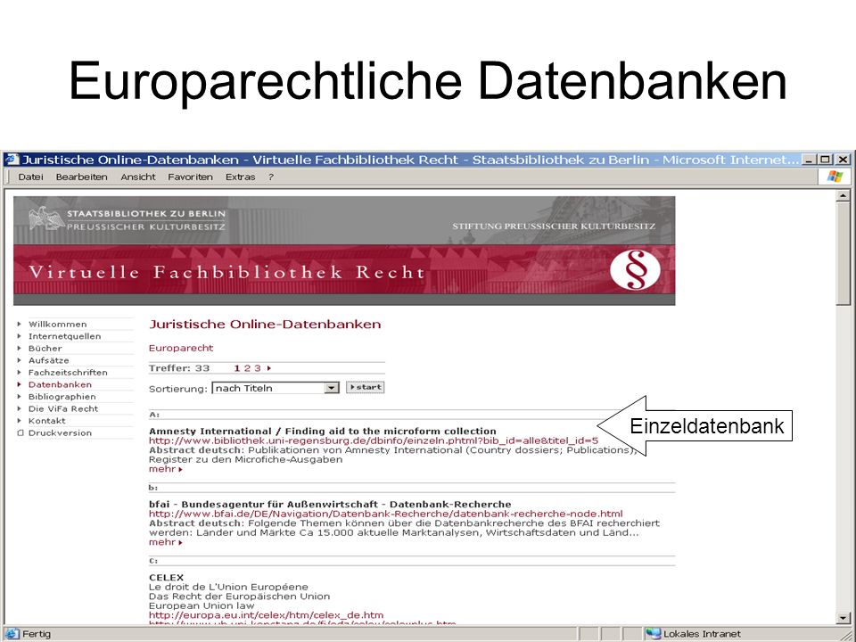 Europarechtliche Datenbanken