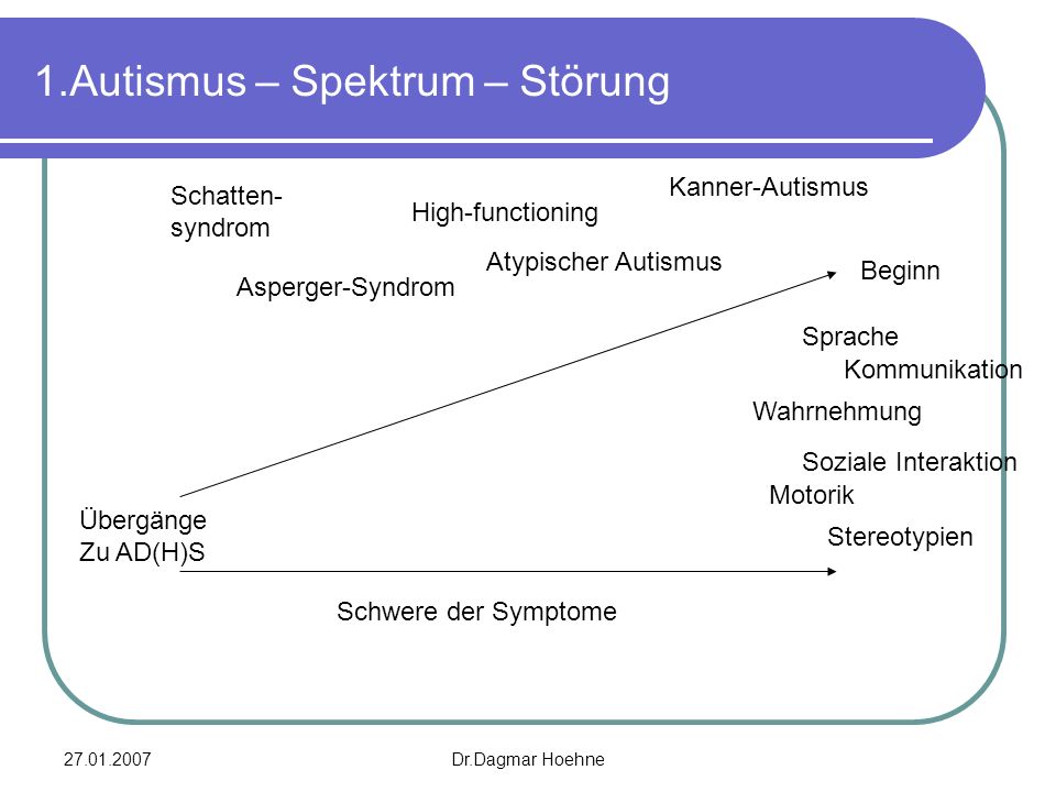 1.Autismus – Spektrum – Störung