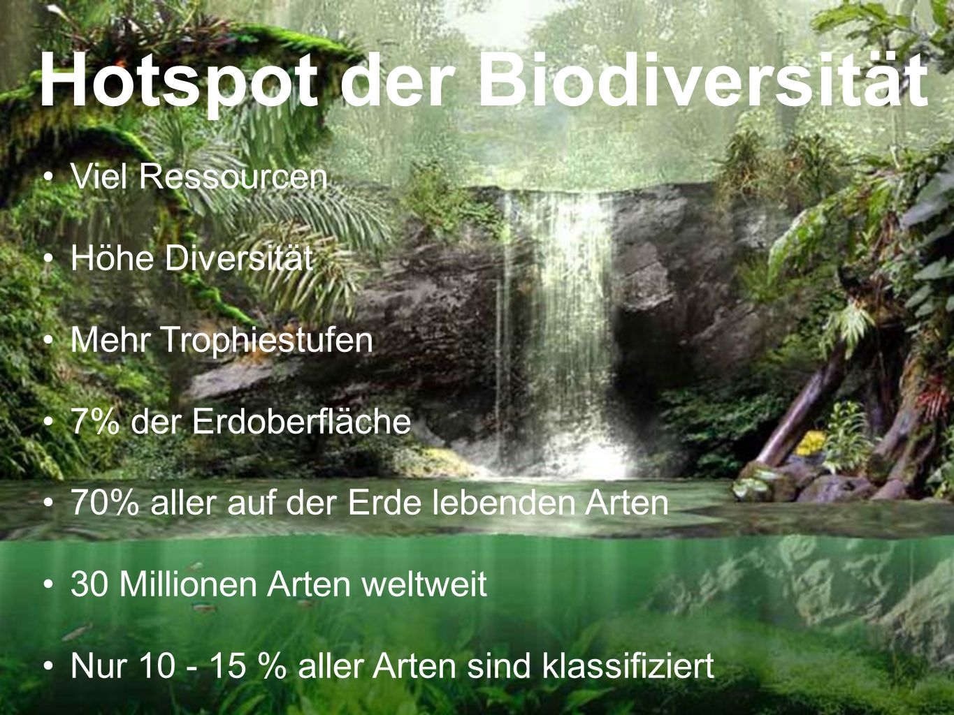 Hotspot der Biodiversität