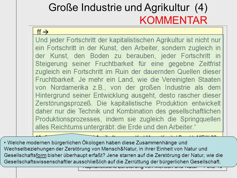 Kapitalistische Zerstörung von Mensch und Natur – Folie 10