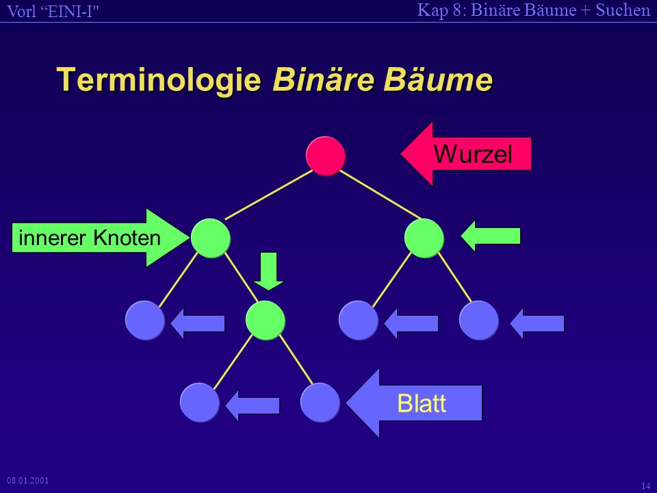 Terminologie Binäre Bäume