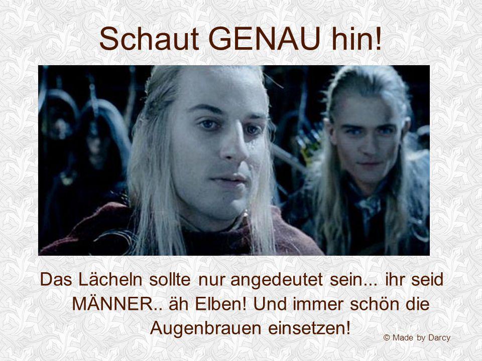 Schaut GENAU hin! Das Lächeln sollte nur angedeutet sein... ihr seid MÄNNER.. äh Elben! Und immer schön die Augenbrauen einsetzen!