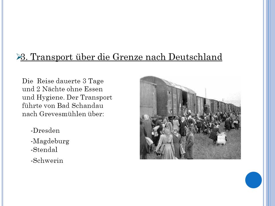 3. Transport über die Grenze nach Deutschland
