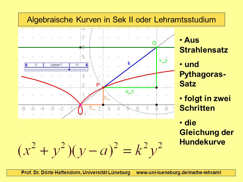 Algebraische Kurven in Sek II oder Lehramtsstudium