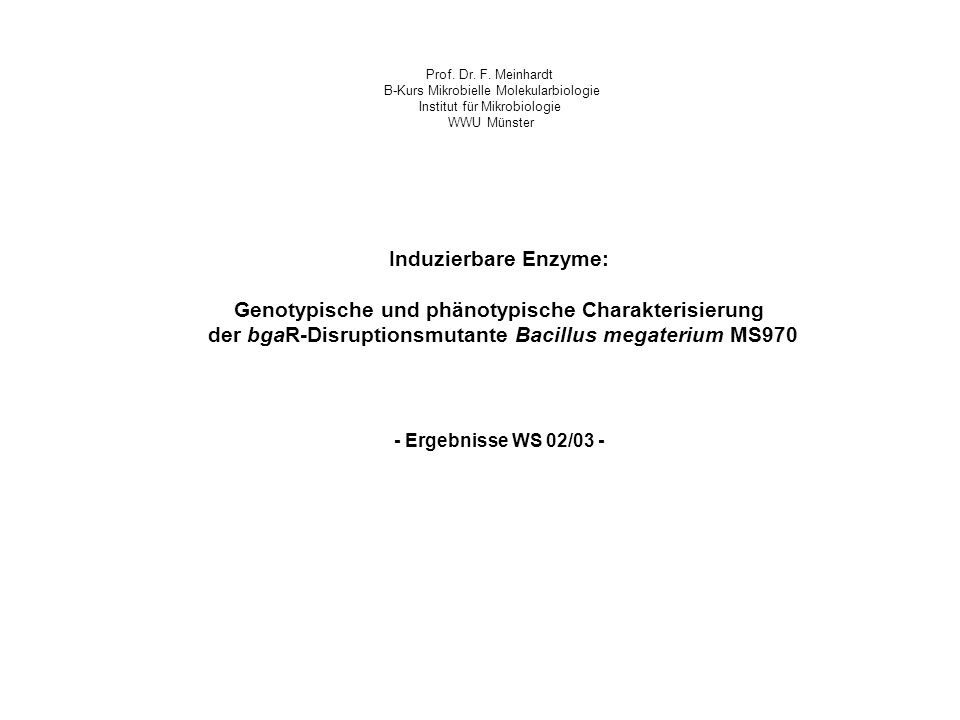 Genotypische und phänotypische Charakterisierung