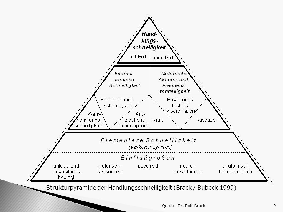 Strukturpyramide der Handlungsschnelligkeit (Brack / Bubeck 1999)