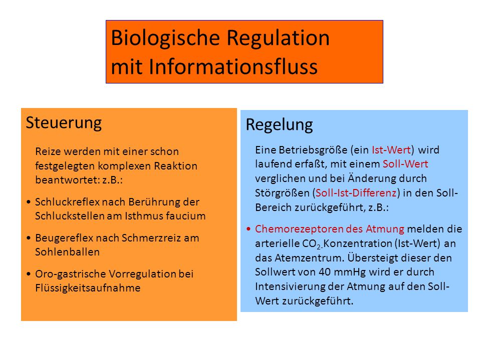 Biologische Regulation mit Informationsfluss