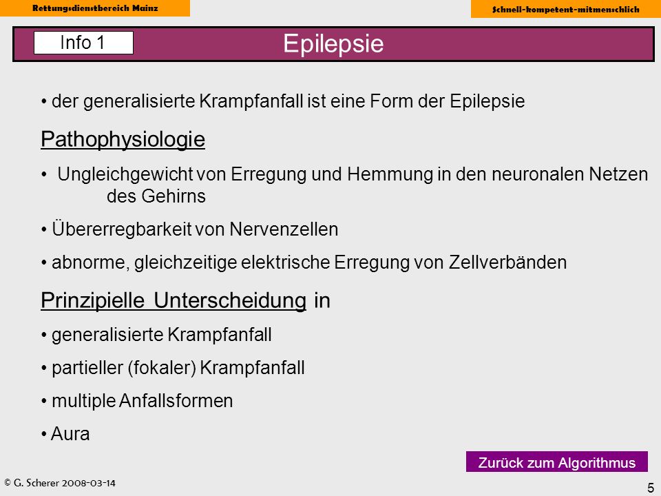 Epilepsie Pathophysiologie Prinzipielle Unterscheidung in Info 1