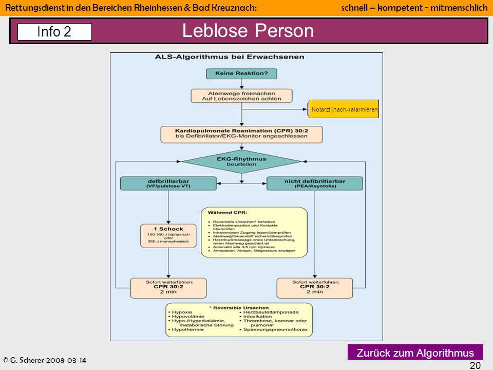 Leblose Person Info 2 Zurück zum Algorithmus