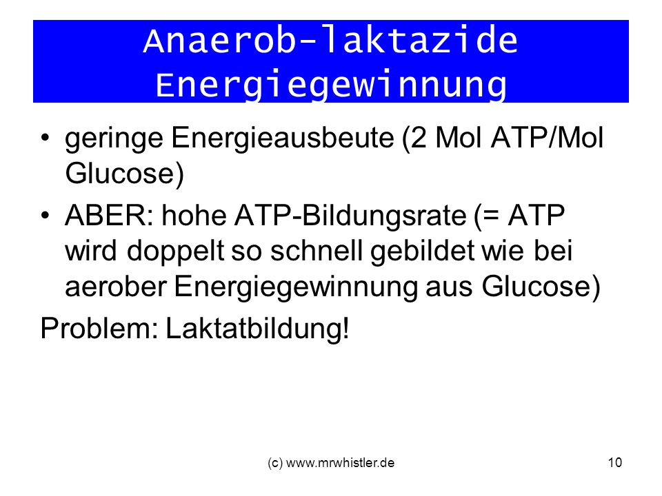 Anaerob-laktazide Energiegewinnung