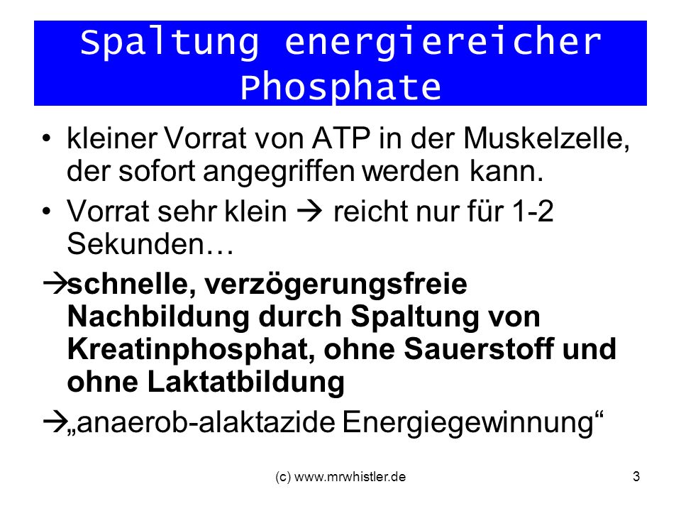 Spaltung energiereicher Phosphate