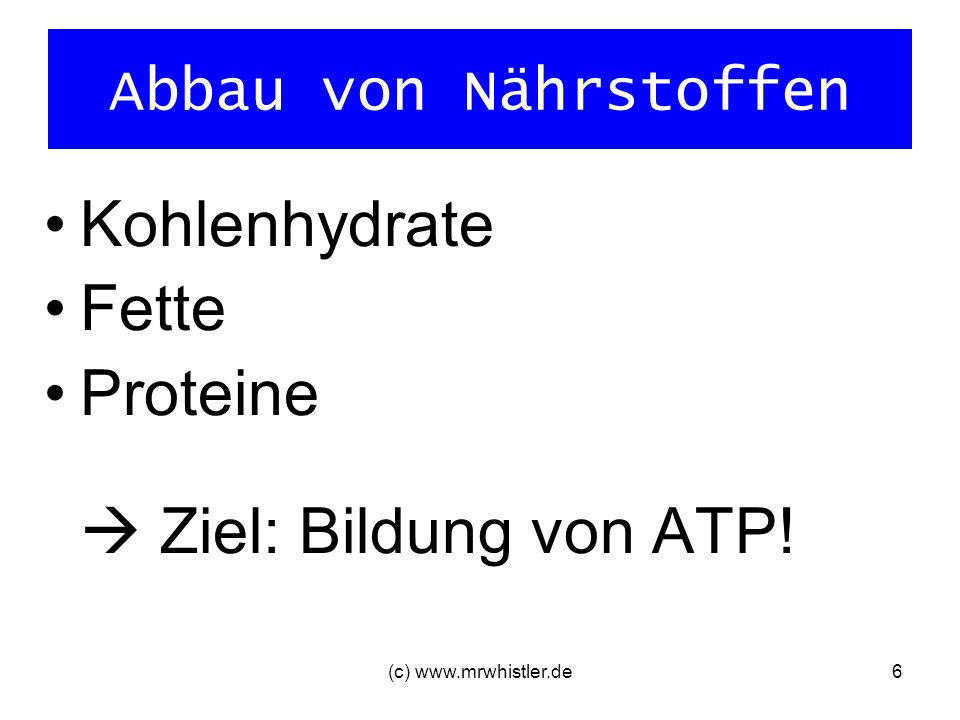 Proteine  Ziel: Bildung von ATP!