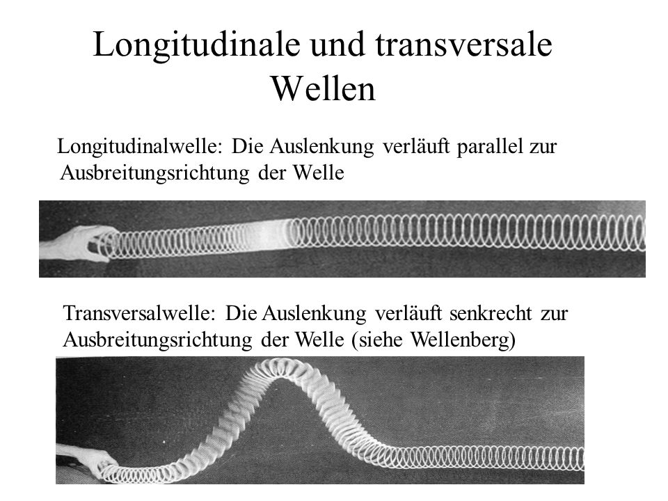 Longitudinale und transversale Wellen