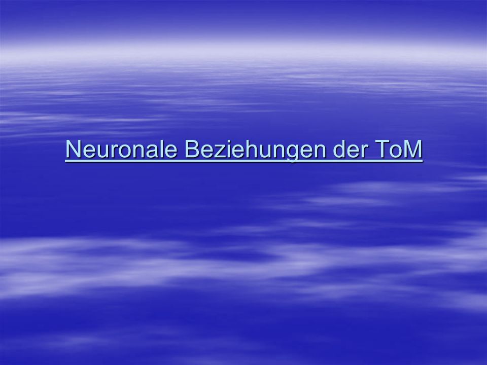 Neuronale Beziehungen der ToM