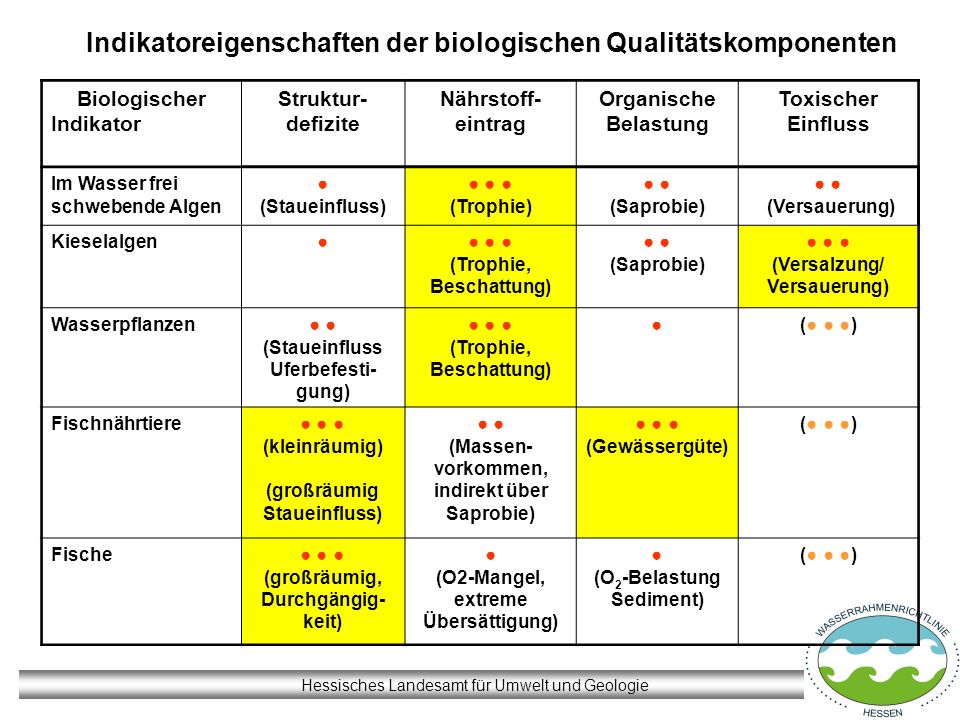 Indikatoreigenschaften der biologischen Qualitätskomponenten