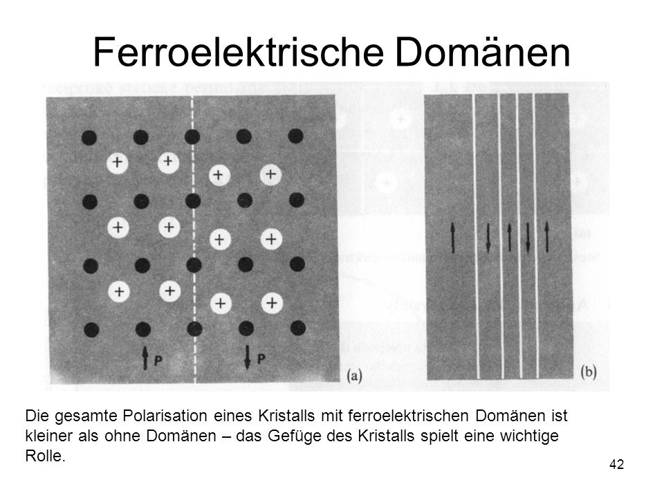 Ferroelektrische Domänen