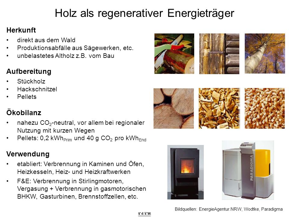 Holz als regenerativer Energieträger