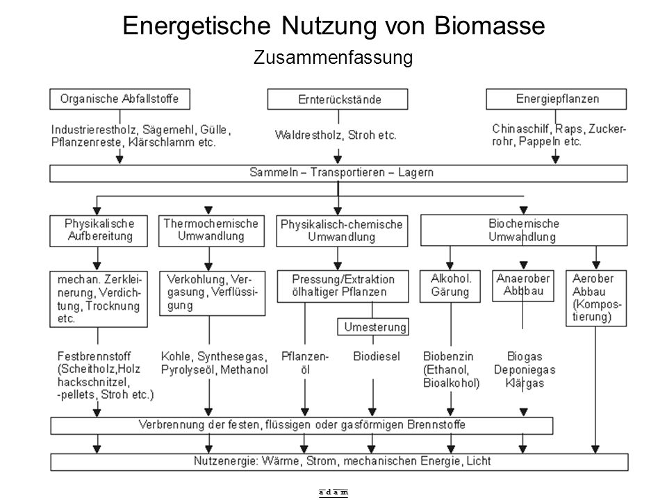 Energetische Nutzung von Biomasse Zusammenfassung