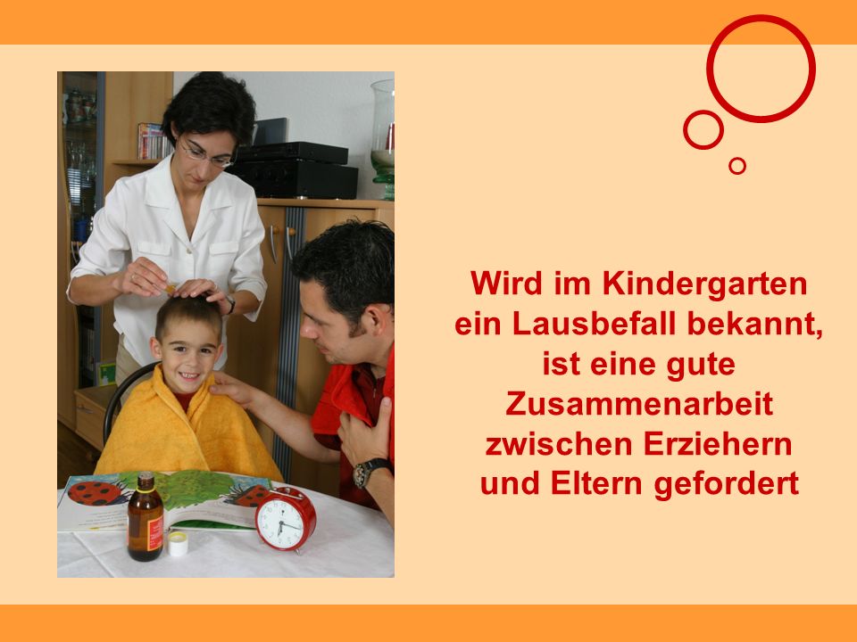 Wird im Kindergarten ein Lausbefall bekannt, ist eine gute Zusammenarbeit zwischen Erziehern und Eltern gefordert