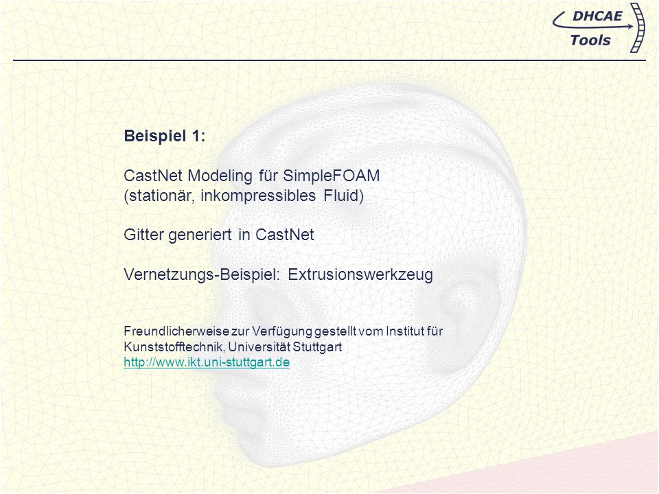 CastNet Modeling für SimpleFOAM (stationär, inkompressibles Fluid)